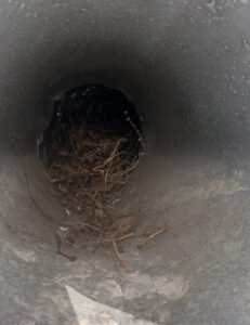 Dryer vent cleaning near me